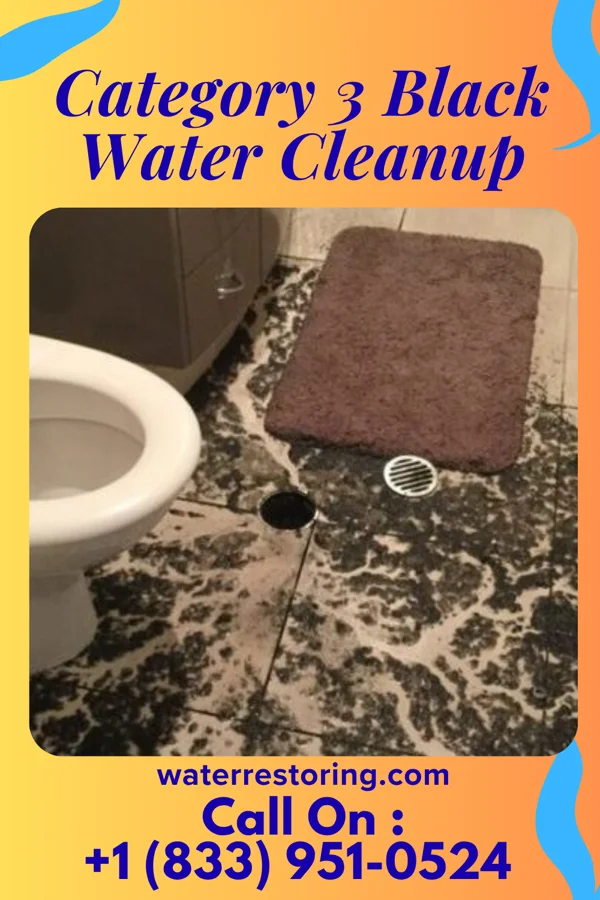 Category 3 Black Water Cleanup in Jefferson, TX