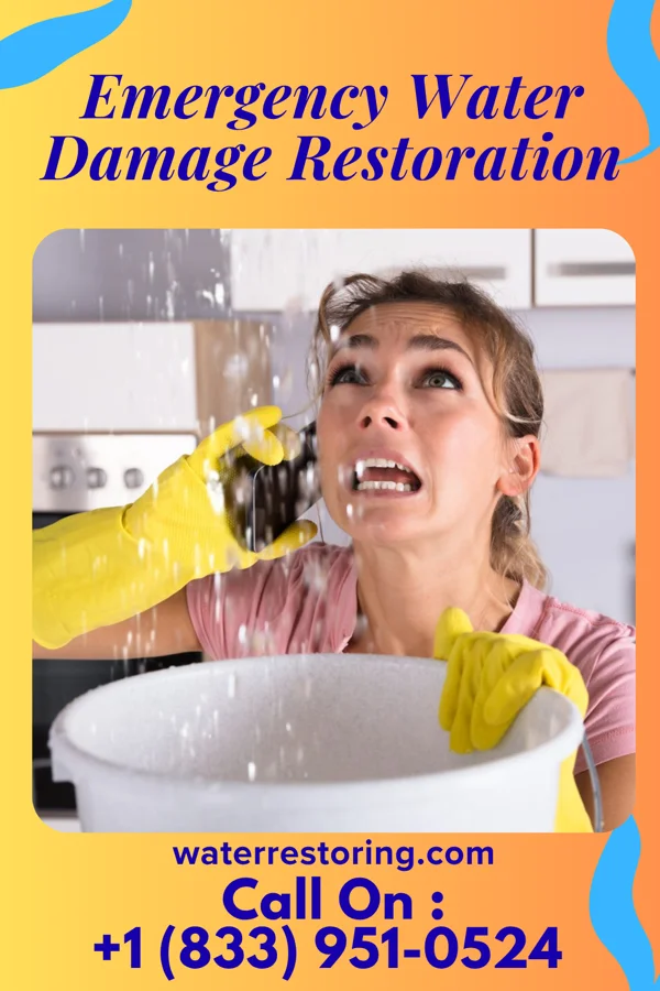 Emergency Water Damage Restoration in Jefferson, TX