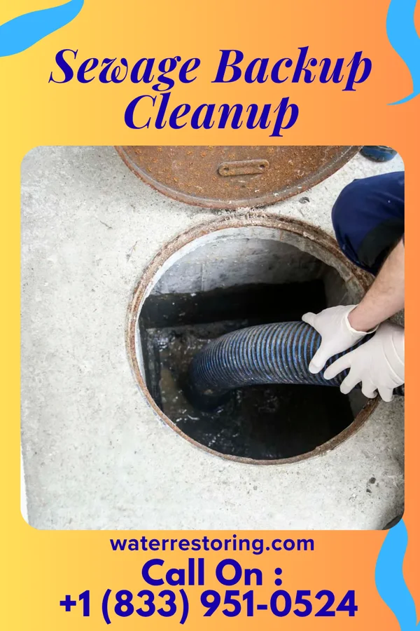 Sewage Backup Cleanup in Jefferson, TX